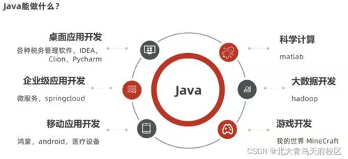 想在互聯網公司上班,該選擇什么專業(yè)學習入行呢